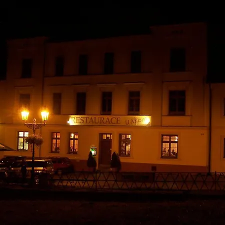 여관 Restaurace U Muzea 3*