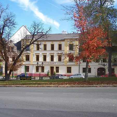 여관 Restaurace U Muzea Horní Slavkov