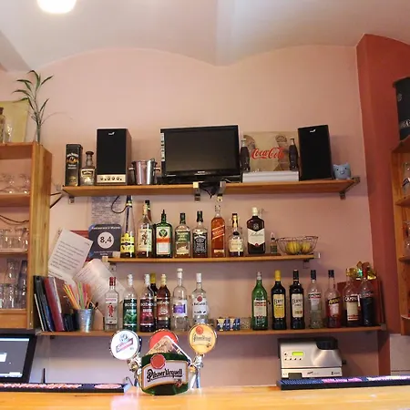 여관 Restaurace U Muzea 3*