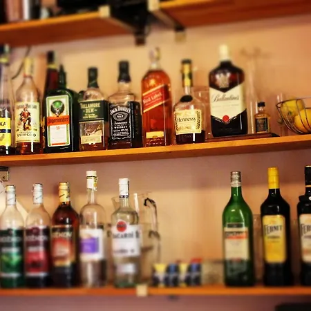 Restaurace U Muzea 여관 3*