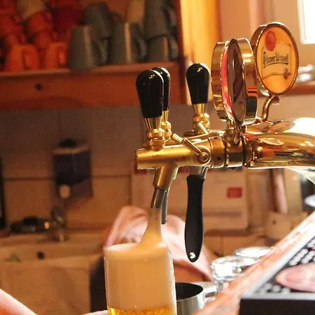 Restaurace U Muzea 여관