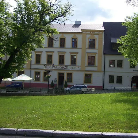 Restaurace U Muzea 3*